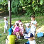 phoca_thumb_m_veverky v lese 7 Fotogalerie
